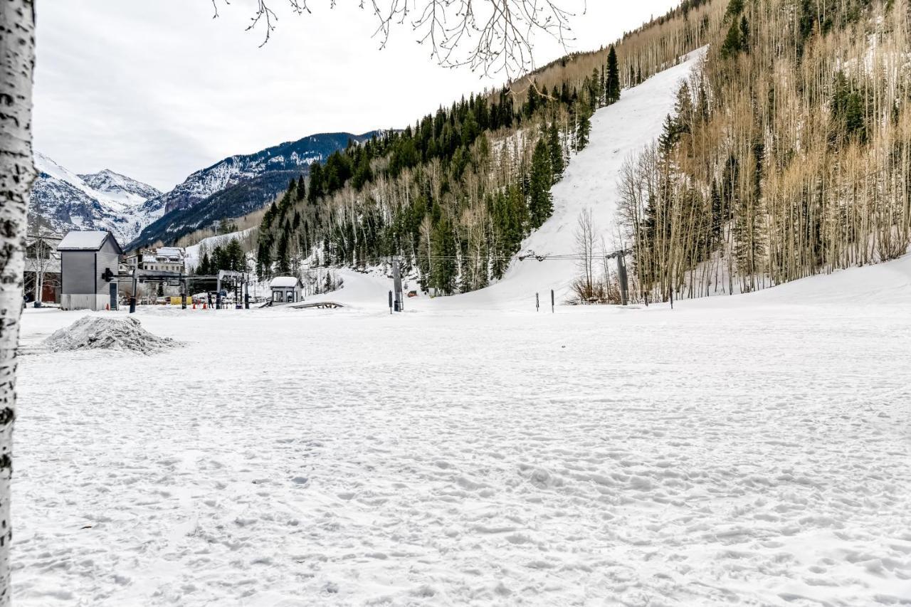 Double Diamond Ski-In/Ski-Out Chalet 特柳赖德 外观 照片