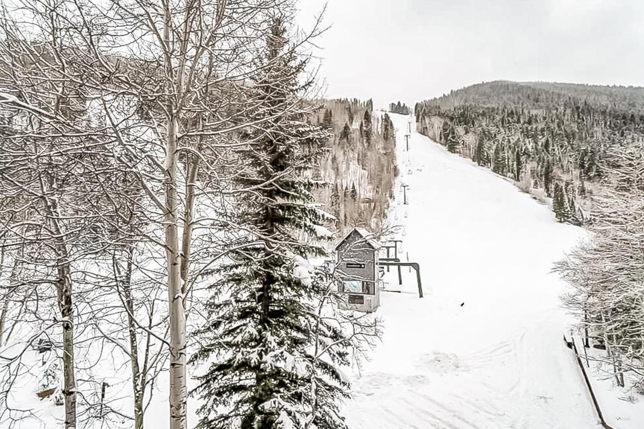 Double Diamond Ski-In/Ski-Out Chalet 特柳赖德 外观 照片