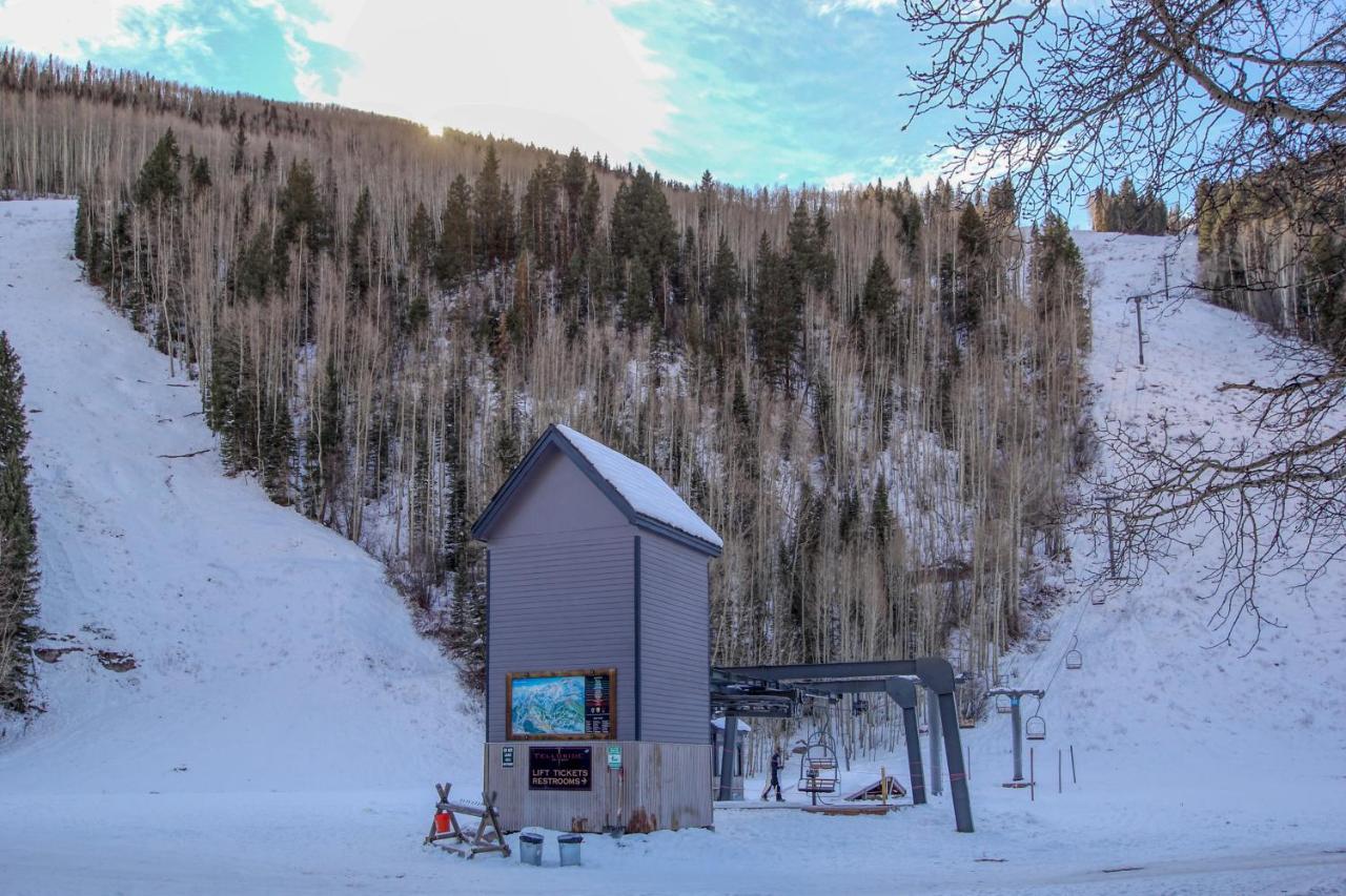 Double Diamond Ski-In/Ski-Out Chalet 特柳赖德 外观 照片
